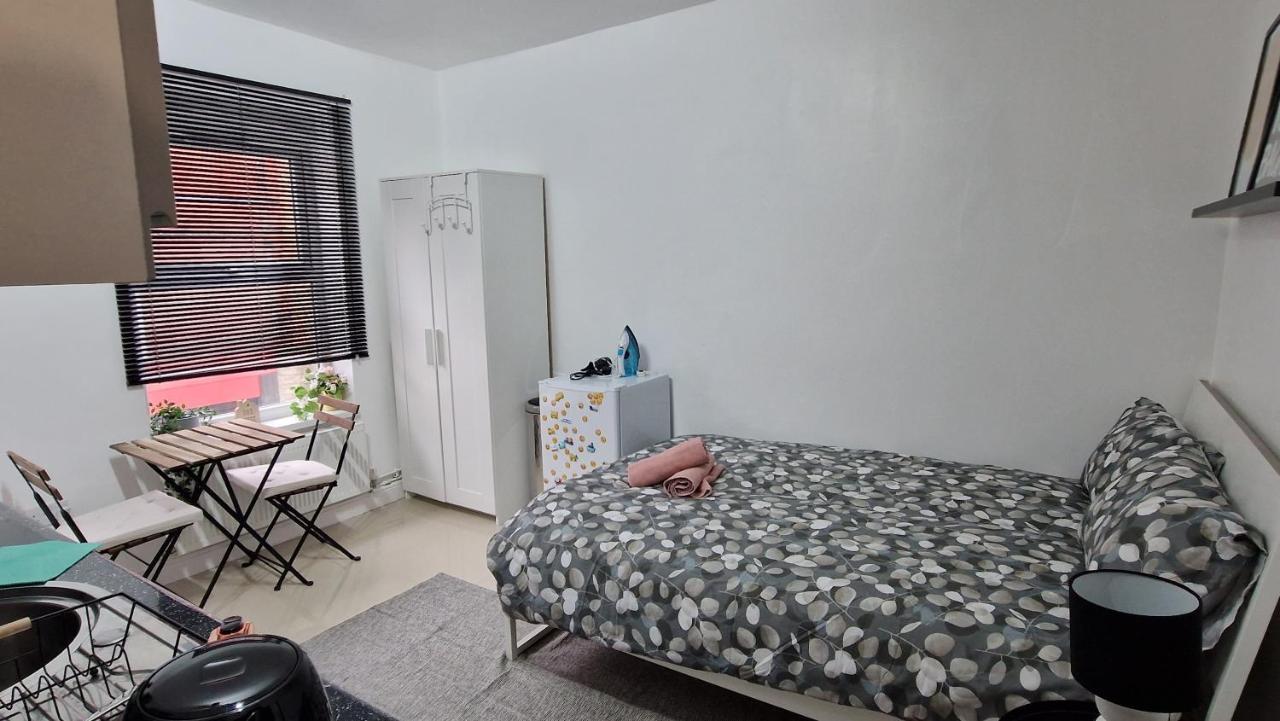 Small Cozy Studio Zone 1 Лондон Екстериор снимка
